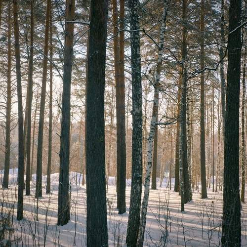 Photo #13102267