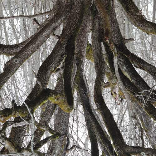 Photo #13102352