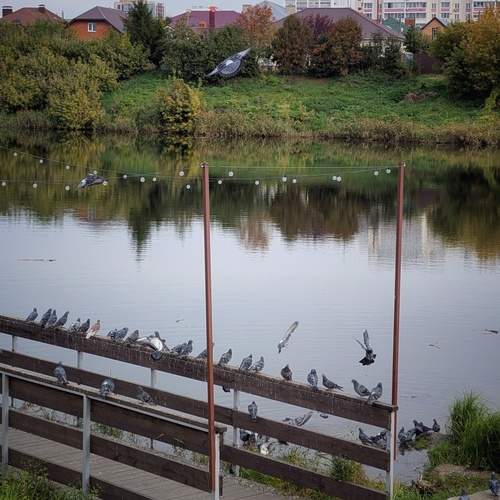 Photo #13102570