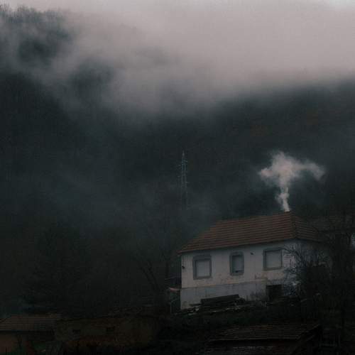 Photo #13102692