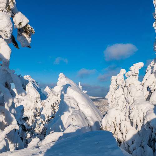 Photo #13102712