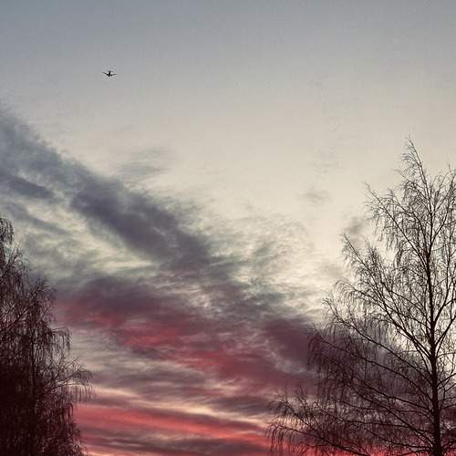 Photo #13102717