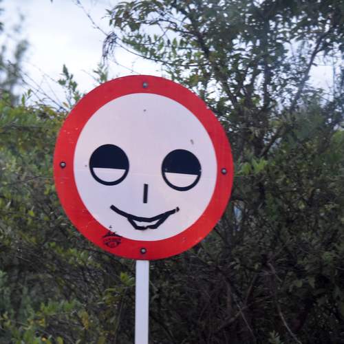 Фотография #13102865