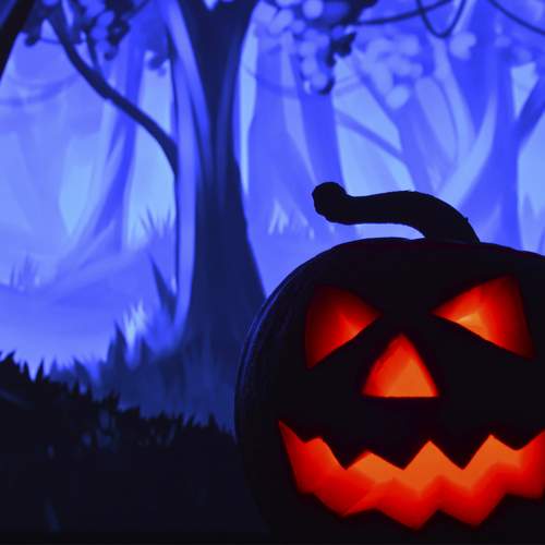 Photo #13102888