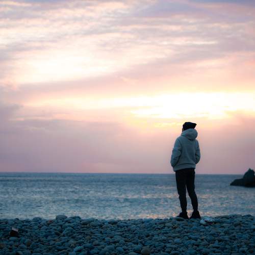 Photo #13103106