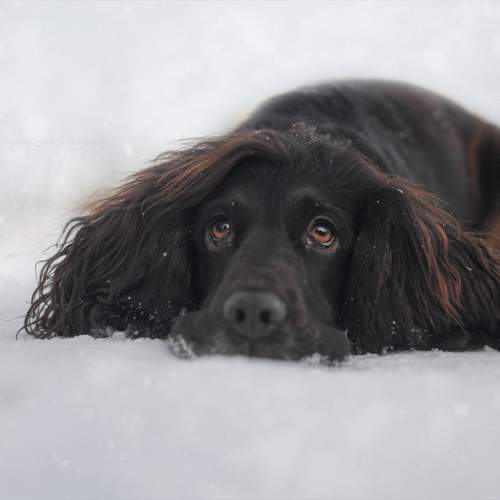 Photo #13103164