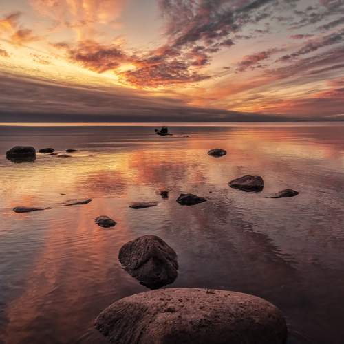 Photo #13103178