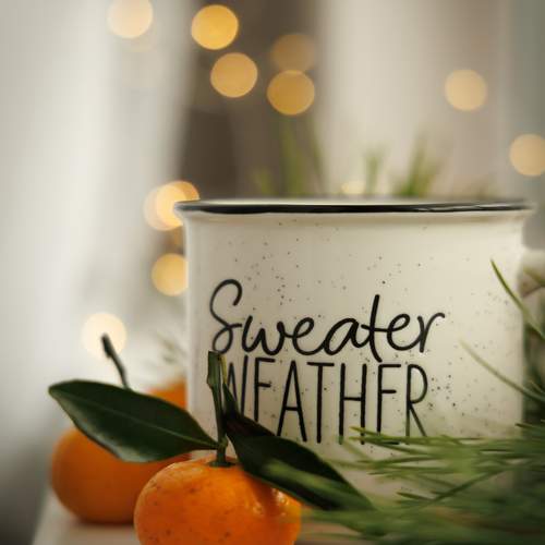 Photo #13103313