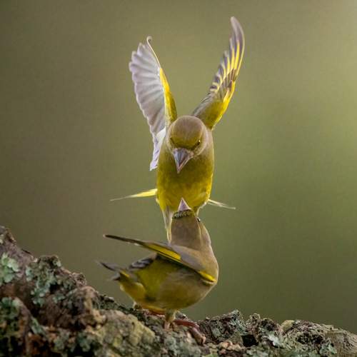 Photo #13103408
