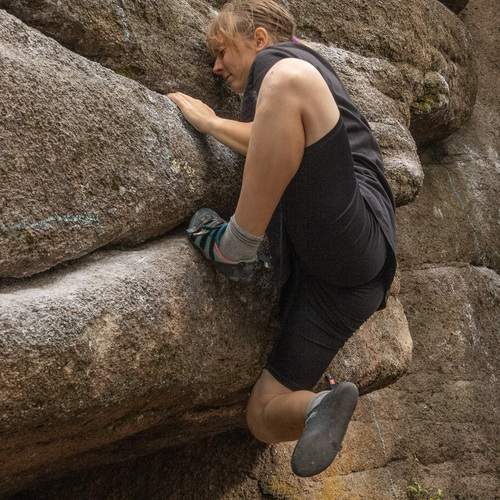 Photo #13103483