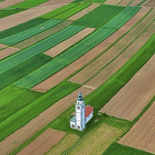 A Coordinate in the Fields