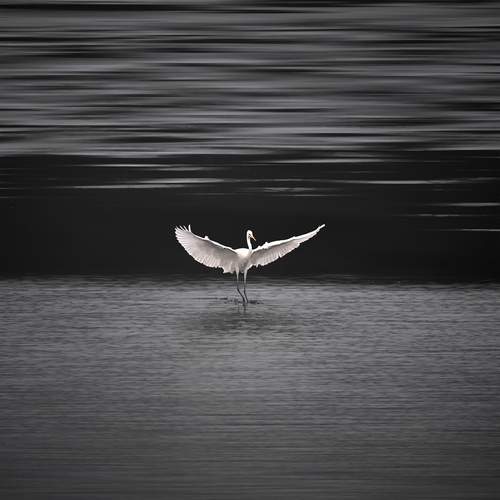 Photo #13103672