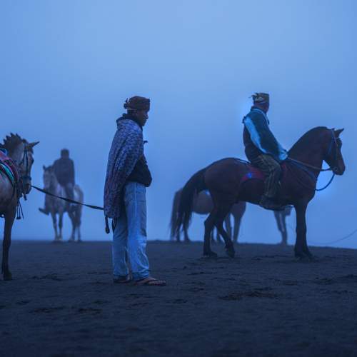Between the horse and its master