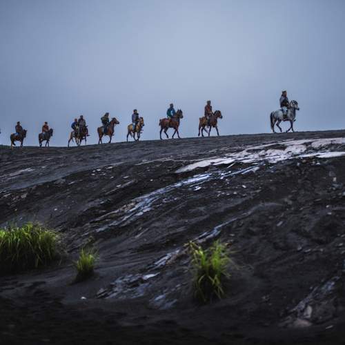 “A Series of Horse Journeys\"