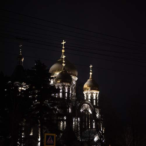 Photo #13103699