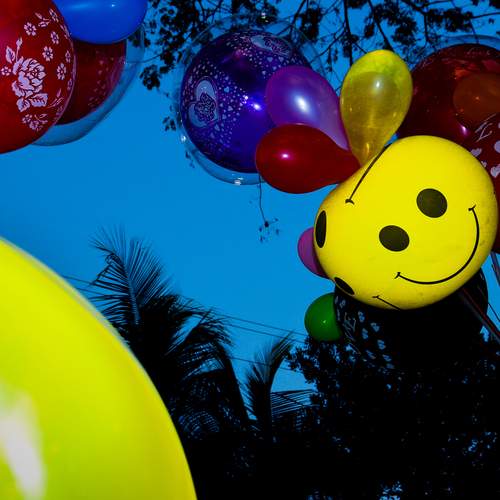 Photo #13103769