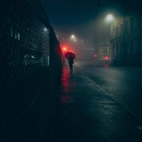 Photo #13103793