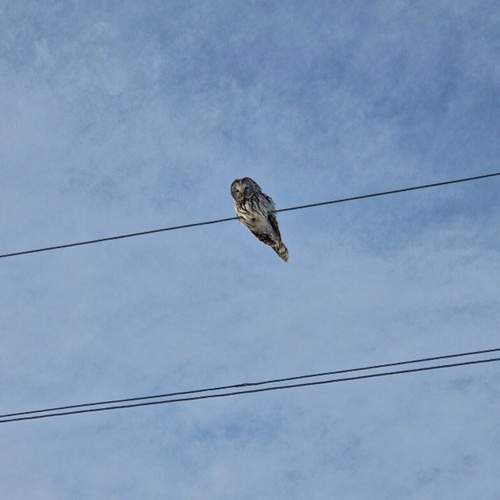 Photo #13103855