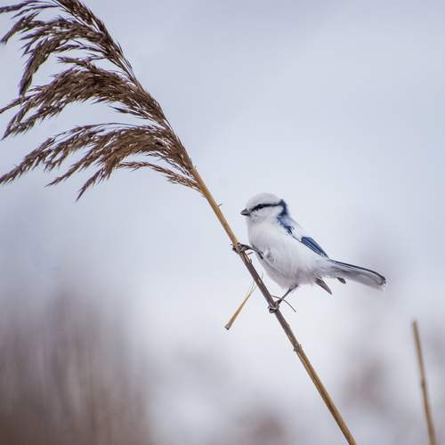Photo #13103869