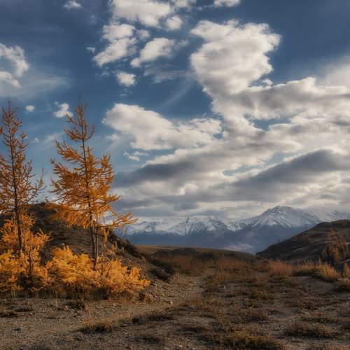 Photo #13103906
