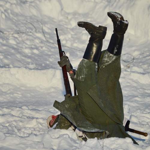 Photo #13103953