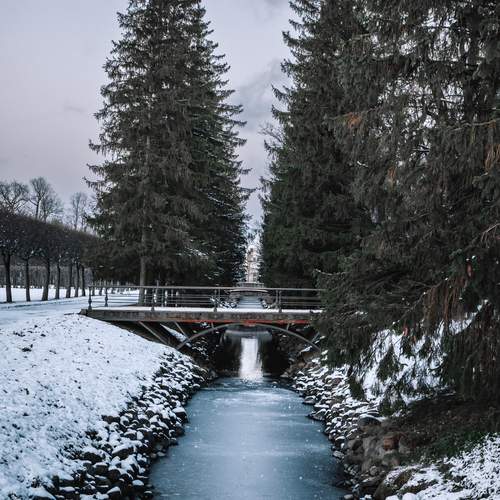 Фотография #13103963