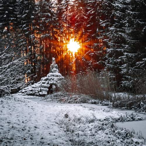 Фотография #13103964