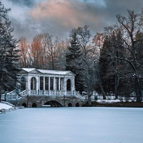 Фотография #13103968