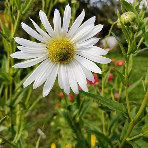 Photo #13104102