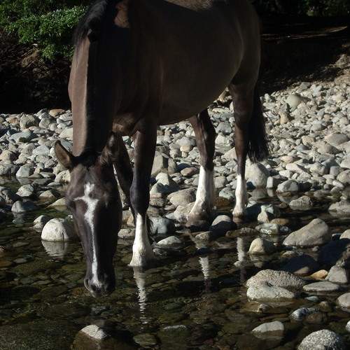 Photo #13104131
