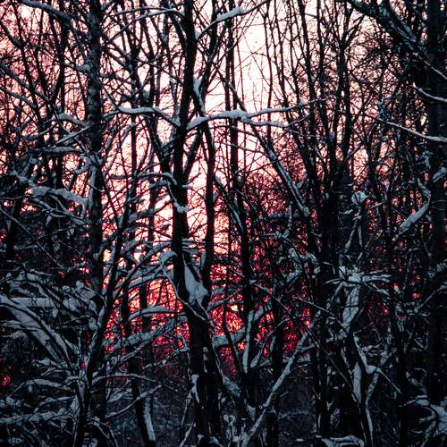 Photo #13104135