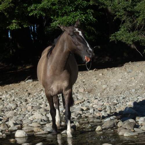 Photo #13104139