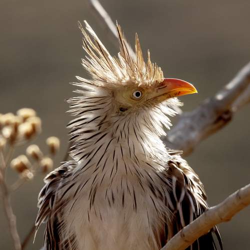 Фотография #13104177