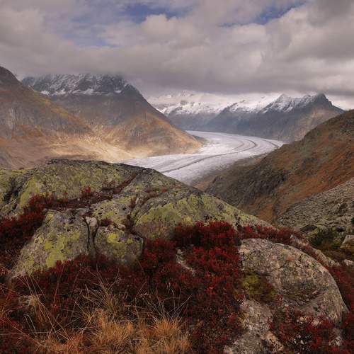 Photo #13104247