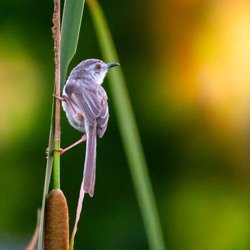 Photo #13104301