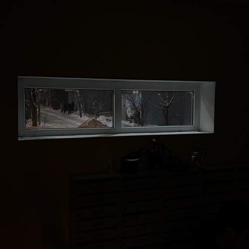 Photo #13104406