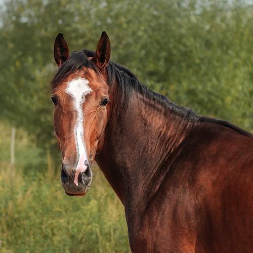 Photo #13104559