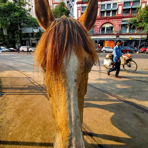 Photo #13104717