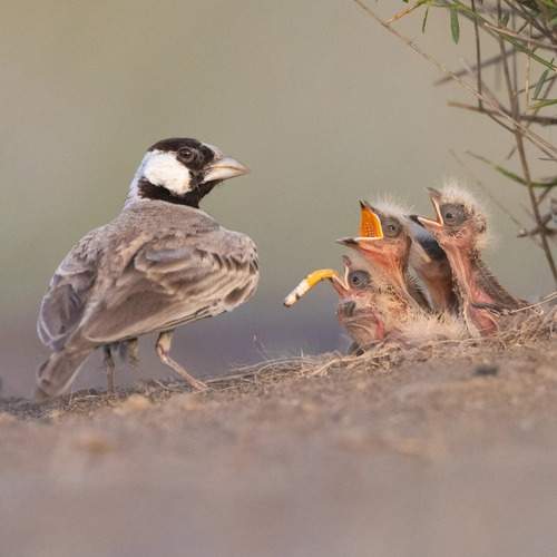 Photo #13104850