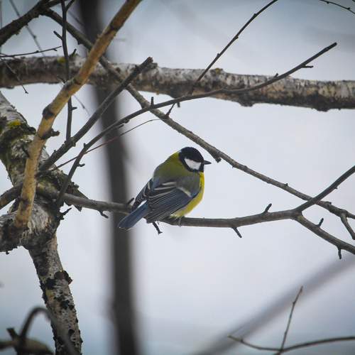Photo #13104880