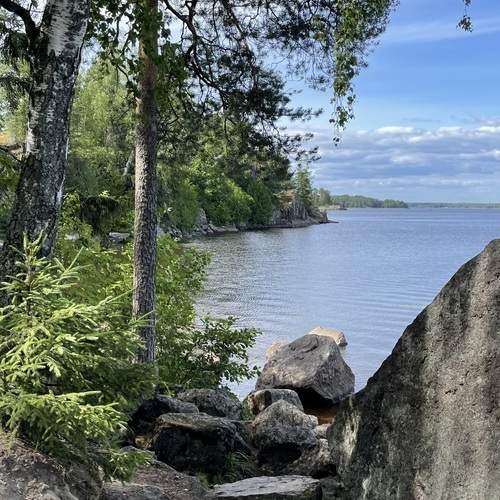 Photo #13104883