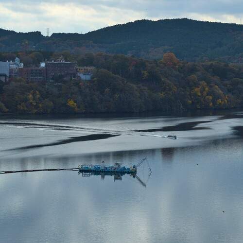 Photo #13104983