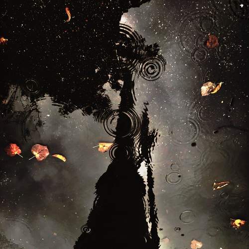 Photo #13105031