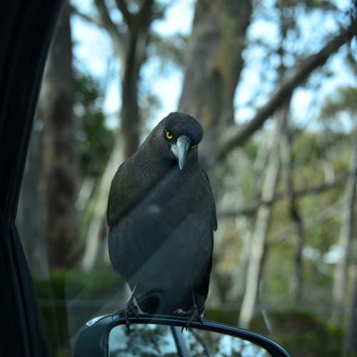 Photo #13105184
