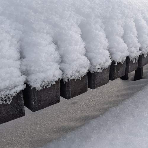 Photo #13105240