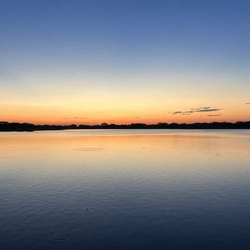 Photo #13105342