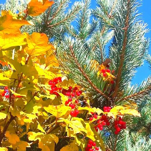 Photo #13105348