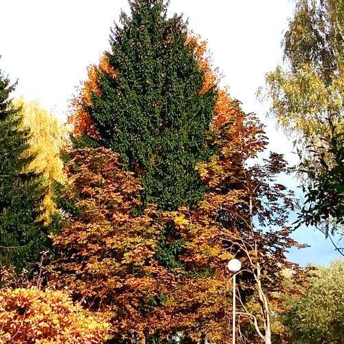 Photo #13105355