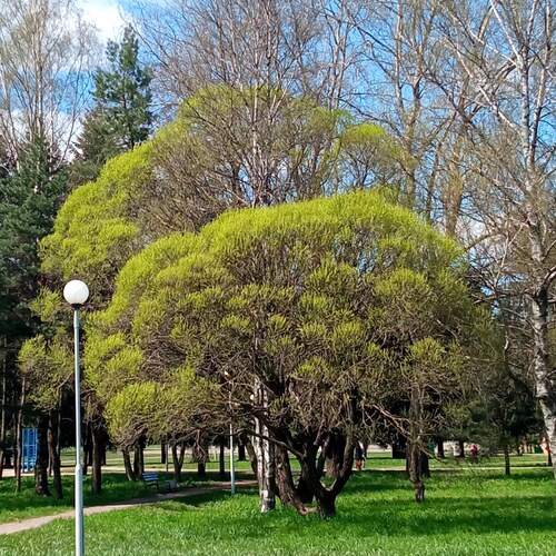 Photo #13105356