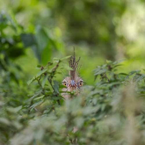 Photo #13105390
